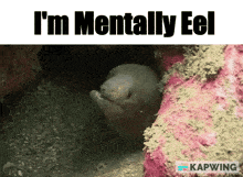 Eel Mentally GIF - Eel Mentally Fish GIFs