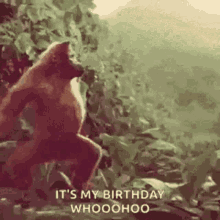 Birthday Monkey GIF