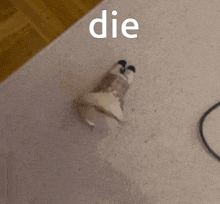a picture of a person 's foot with the word die written on it