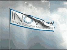 Inovio Flag GIF