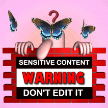 Sensitive Content Warning GIF - Sensitive Content Warning Dont Edit It GIFs