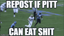 Eat Shit Pitt Pitt Panthers GIF - Eat Shit Pitt Pitt Panthers Repost If GIFs