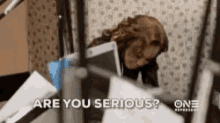 a dog is laying in a hospital bed with the words `` are you serious '' above it .