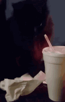 cat black angora chew drink