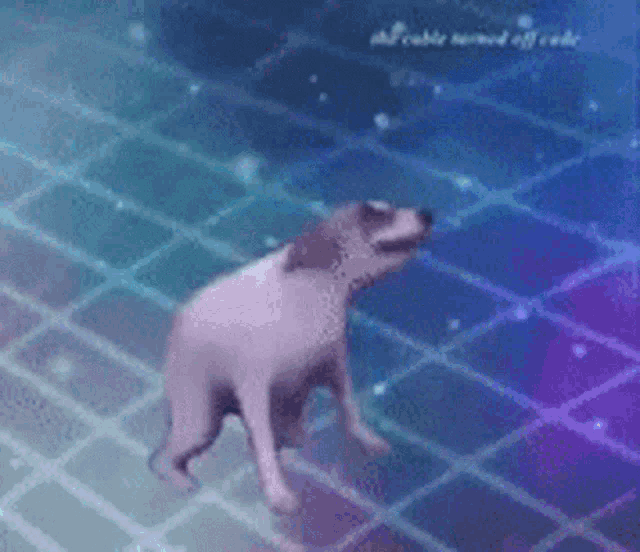 Perro Brazil GIF - Perro Brazil Bailando - Discover & Share GIFs