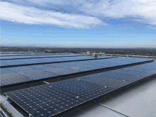 Solar Installers Sydney Solar Equipments GIF - Solar Installers Sydney Solar Equipments Trees GIFs