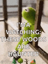 kermit the frog is sitting on a railing looking out a window .