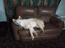 Its The Weekend GIF - Its The Weekend GIFs