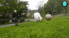 Game Cow GIF - Game Cow Excited GIFs