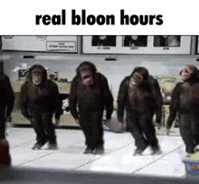Real Bloon Hours Real Goon Hours GIF - Real Bloon Hours Real Goon Hours Bloon GIFs