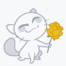 cat flower