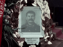 a picture of a man with a mustache is surrounded by flowers and a sign that says nb staliny