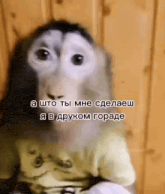 a monkey is wearing a yellow shirt and has a foreign language on it