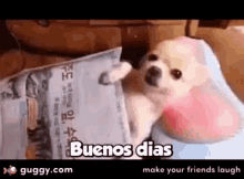 Good Morning Buenos Diaz GIF - Good Morning Buenos Diaz Massage GIFs