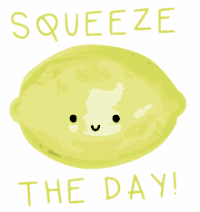 seize the day carpe diem lemon squeeze kawanimals