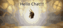 a picture of a unicorn with the words hello chat written on it