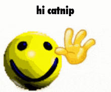Hi Hello GIF - Hi Hello Catnip GIFs