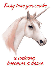 Don'T Smoke, Save A Unicorn GIF - Unicorn Smoking Horse GIFs