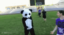 panda football