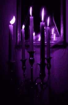 lila kerzen purple candles light up