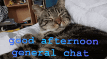 Good Afternoon General Chat GIF - Good Afternoon General Chat Good Afternoon Discord GIFs