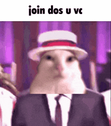 a cat in a suit and tie is wearing a hat and saying join dos u vc .