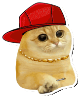 Catcoin Cat Meme Sticker