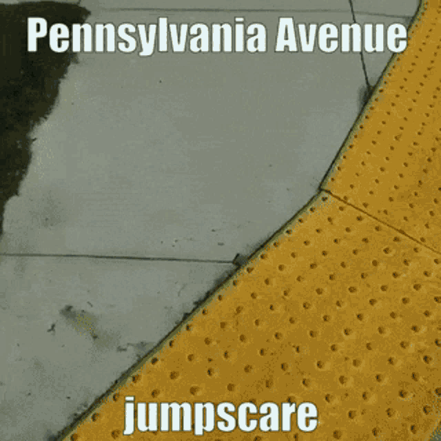 Pennsylvanie Avenue GIF - Pennsylvanie Avenue White House GIFs