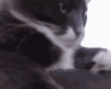 Dechart Games Theo GIF