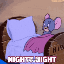 a cartoon mouse is laying in a bed with the words `` nighty night '' written above it .