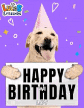 a dog is wearing a party hat and holding a sign that says `` happy birthday '' .
