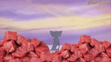 a cartoon of tom standing in a pile of meat with the words jerry games below him