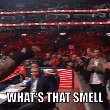 Randy Orton Whats That Smell GIF - Randy Orton Whats That Smell Rko GIFs