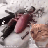 a man is laying on a bed next to a cat and a tiktok sticker