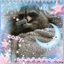 a raccoon laying on a blanket with the word cozy written on it