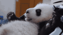 GIF