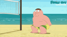 Volleyball GIF - Volleyball Family Guy GIFs