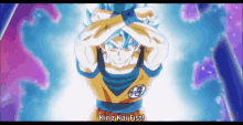 Goku King GIF - Goku King Kai GIFs