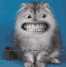 Fo Do Do Smile GIF - Fo Do Do Smile Cat GIFs