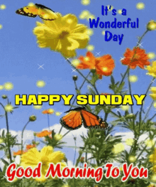 Happy Sunday Good Morning GIF - Happy Sunday Good Morning Its A Wonderful Day GIFs