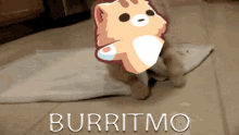 Burritmo Burrito GIF - Burritmo Mo Burrito GIFs