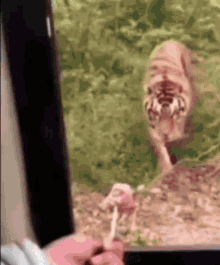 Ate Material Gworl GIF - Ate Material Gworl Tiger GIFs
