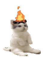 Burning Cat Sticker - Burning Cat Stickers