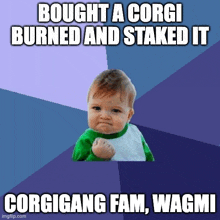Corgigang Burn GIF - Corgigang Burn Corgi GIFs