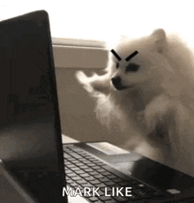 Dog Keyboard GIF