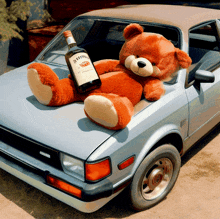 Teddy Bear Drunk GIF - Teddy Bear Drunk Car GIFs