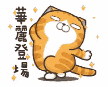 Cat Lan Lan Cat GIF - Cat Lan Lan Cat Going Up GIFs