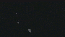 a wolf howling at the moon with a bird flying in the background