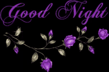 Good Night Flower GIF - Good Night Flower Purple GIFs