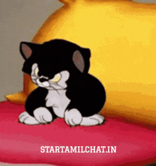 a black and white cartoon cat is sitting on a red pillow next to a yellow pillow that says startamilchat.in